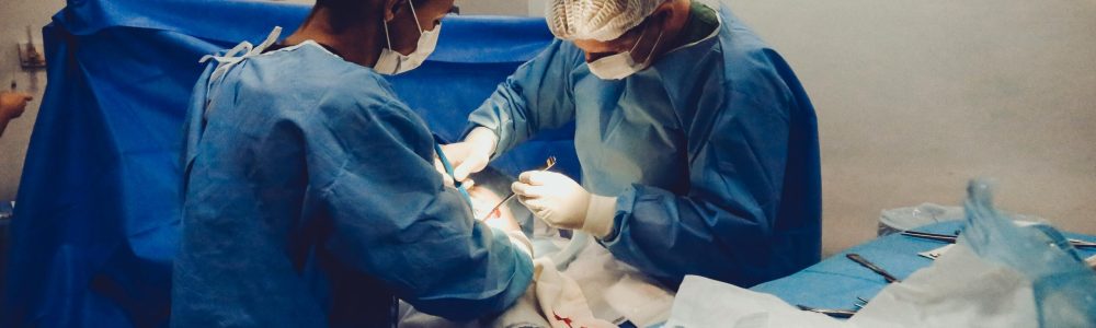 pexels-vidalbalielojrfotografia-3376799